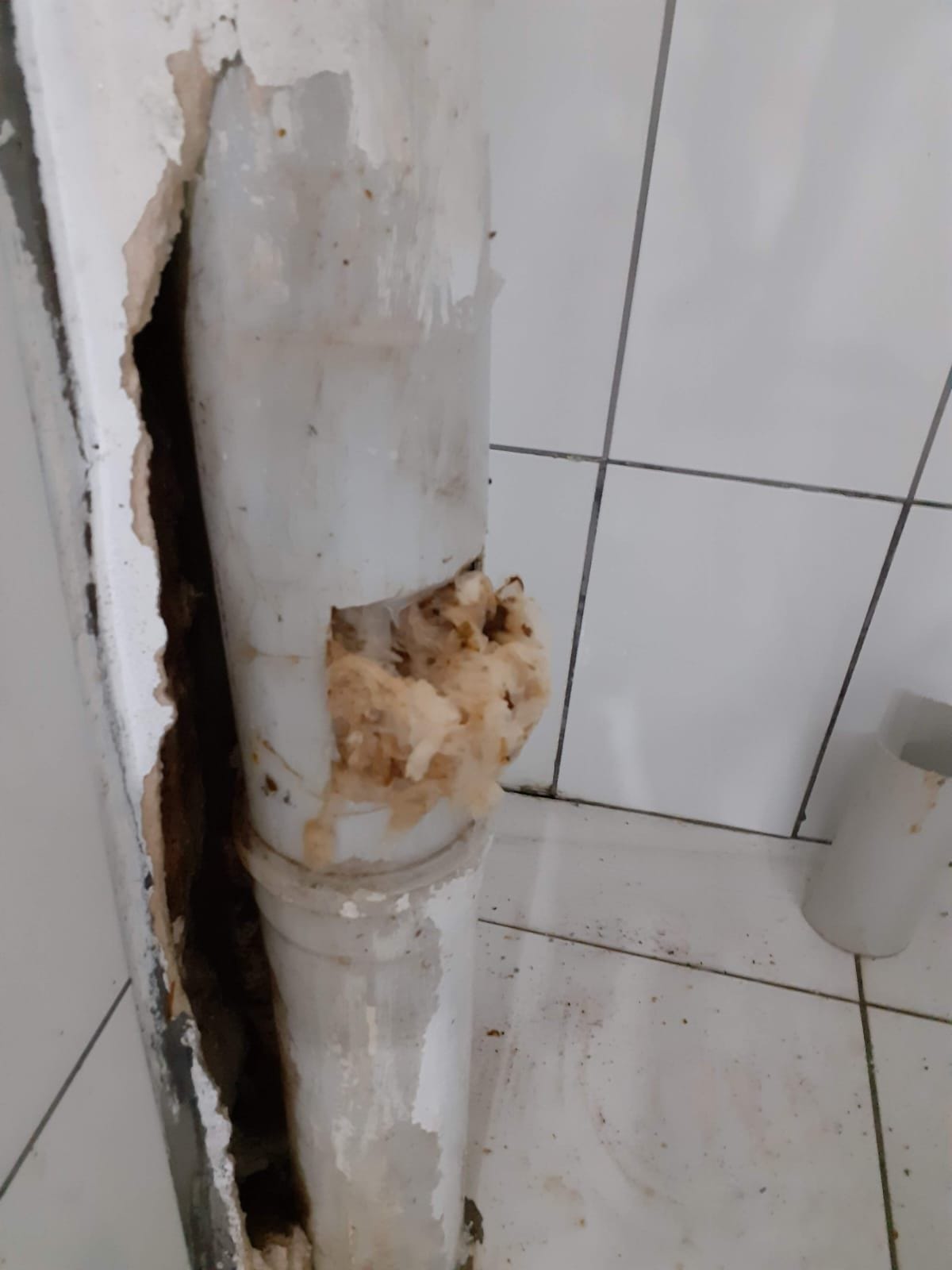 Kanalizasyon Tıkanıklığı Açma